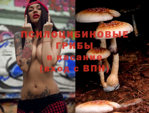 метадон Алексеевка