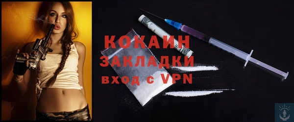 прущие грибы Сатка