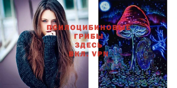 стафф Алзамай