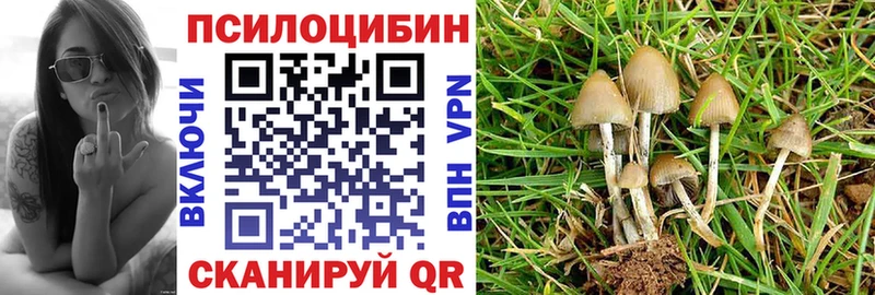 Галлюциногенные грибы Cubensis  Пенза 