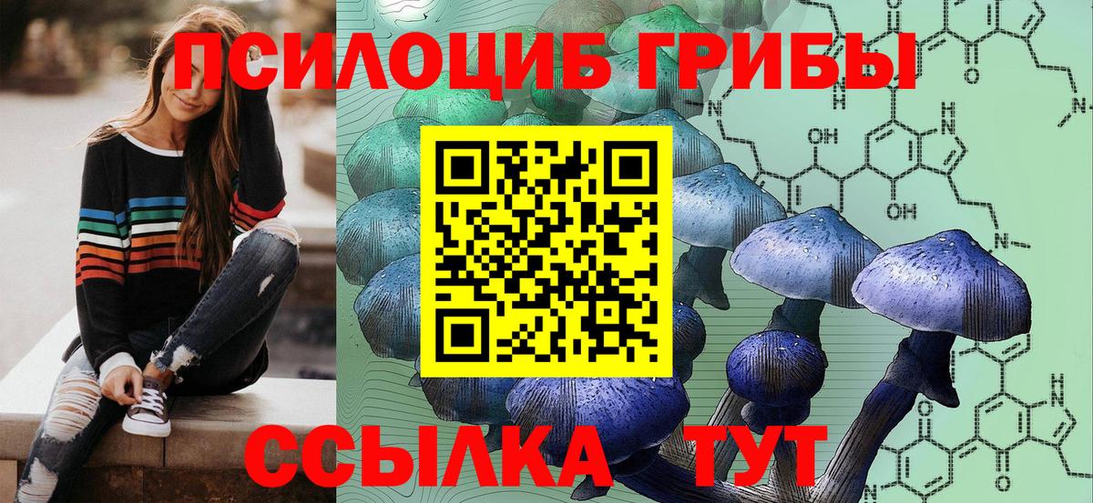 Псилоцибиновые грибы прущие грибы  Вход с VPN  Пенза  Галлюциногенные грибы MAGIC MUSHROOMS 
