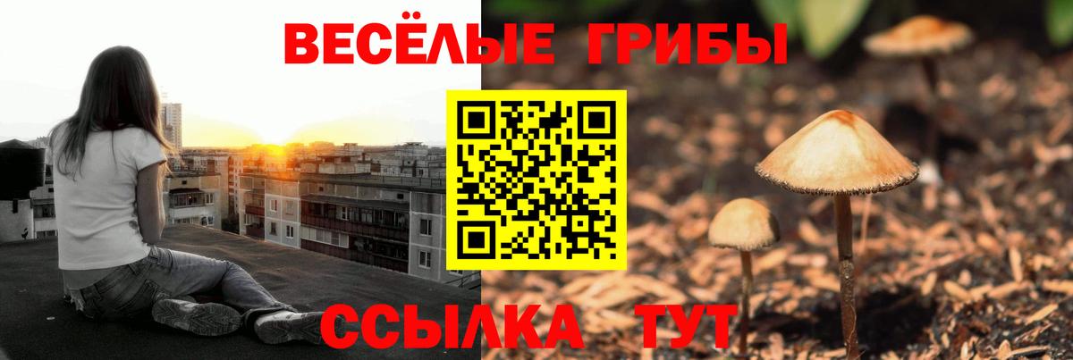 Галлюциногенные грибы MAGIC MUSHROOMS Пенза